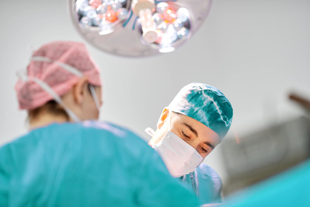 vet surgeon performing procedure